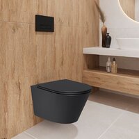 Унитаз подвесной Lauter Longer 2110822 (черный) - Изображение №4 — Chaika Market