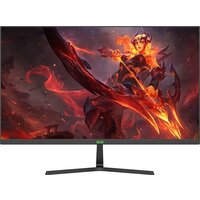 Игровой монитор ELSA EA251S — Chaika Market