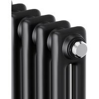 Стальной трубчатый радиатор Royal Thermo Insignia C2180 - 06 секций RAL9005m - Изображение №3 — Chaika Market