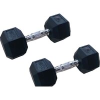 Набор гантелей DFC DB001-10 2x10 кг — Chaika Market