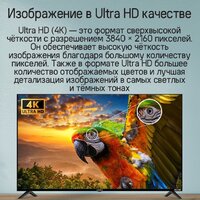 Телевизор MAUNFELD MLT55UST02 - Изображение №15 — Chaika Market