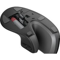 Вертикальная мышь Trust Verro Ergonomic Wireless Mouse - Изображение №8 — Chaika Market