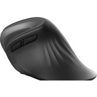 Вертикальная мышь Trust Verro Ergonomic Wireless Mouse - Изображение №7 — Chaika Market