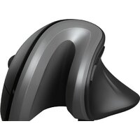 Вертикальная мышь Trust Verro Ergonomic Wireless Mouse - Изображение №2 — Chaika Market