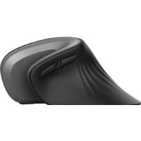 Вертикальная мышь Trust Verro Ergonomic Wireless Mouse - Изображение №4 — Chaika Market