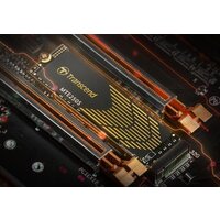 SSD Transcend 250S 1TB TS1TMTE250S - Изображение №5 — Chaika Market