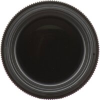 Объектив Sigma 105mm AF F/2.8 DG DN Macro Art для Leica L - Изображение №11 — Chaika Market