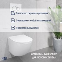 Унитаз подвесной Lauter Sulzdorf (белый с микролифтом) - Изображение №5 — Chaika Market