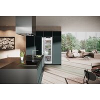 Морозильник Liebherr SIFNe 5188 Peak - Изображение №10 — Chaika Market