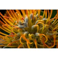 Беззеркальный фотоаппарат Fujifilm X-T50 Kit 16-50mm (серый) - Изображение №26 — Chaika Market