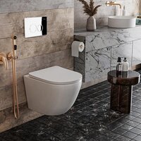 Унитаз подвесной Roxen Antares One Rimless 6 в 1 StounFix Dual Fresh 508565 (кнопка: хром) - Изображение №9 — Chaika Market