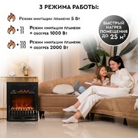 Электрокамин Planta PFP-FS400 (черный) - Изображение №8 — Chaika Market
