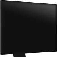 Монитор EIZO FlexScan EV2495-BK - Изображение №9 — Chaika Market