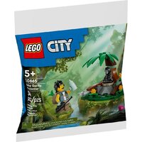 Конструктор LEGO City 30665 Встреча с детенышем гориллы — Chaika Market