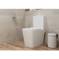 Унитаз напольный Lauter W09 P-TRAP с жестким сиденьем и микролифтом 21900002 (горизонтальный выпуск) - Изображение №6 — Chaika Market