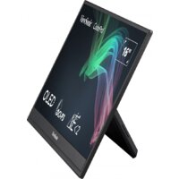 Портативный монитор ViewSonic ColorPro VP16-OLED - Изображение №8 — Chaika Market
