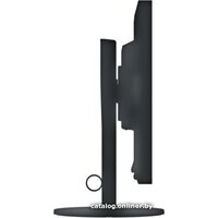 Монитор EIZO FlexScan EV2430-BK - Изображение №7 — Chaika Market