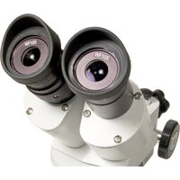 Микроскоп Levenhuk 3ST бинокулярный 35323 - Изображение №3 — Chaika Market