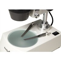 Микроскоп Levenhuk 3ST бинокулярный 35323 - Изображение №4 — Chaika Market