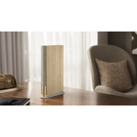 Беспроводная аудиосистема Bang & Olufsen Beosound Emerge (золотистый/светлый дуб) - Изображение №12 — Chaika Market
