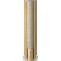 Беспроводная аудиосистема Bang & Olufsen Beosound Emerge (золотистый/светлый дуб) - Изображение №11 — Chaika Market