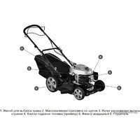 Газонокосилка Champion LM4630 - Изображение №2 — Chaika Market