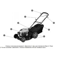 Газонокосилка Champion LM4630 - Изображение №3 — Chaika Market