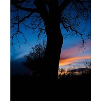 Беззеркальный фотоаппарат Fujifilm X-T50 Kit 15-45mm (серебристый) - Изображение №19 — Chaika Market