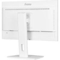 Монитор Iiyama ProLite XUB2497HSN-W1 - Изображение №11 — Chaika Market