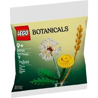 Конструктор LEGO The Botanical Collection 30701 Полевые цветы — Chaika Market