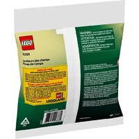 Конструктор LEGO The Botanical Collection 30701 Полевые цветы - Изображение №3 — Chaika Market