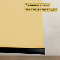 Рулонная электроштора НеоФьюжен Эден 200 220х200 левая (медовый, черная фурнитура) - Изображение №3 — Chaika Market