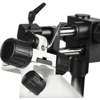 Микроскоп Микромед MC-2-ZOOM STL5 30913 - Изображение №13 — Chaika Market