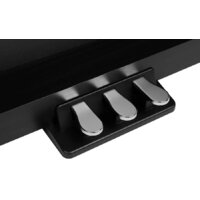 Цифровое пианино Medeli DP280K (черный) - Изображение №7 — Chaika Market