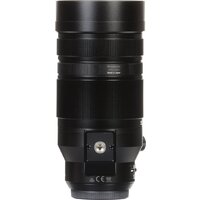 Объектив Panasonic Leica DG Vario-Elmar 100-400 mm F4.0-6.3 ASPH POWER O.I.S. - Изображение №10 — Chaika Market