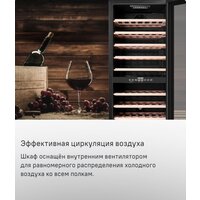 Винный шкаф MAUNFELD MFWC-201D77 - Изображение №11 — Chaika Market