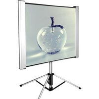 Проекционный экран CACTUS TriAlExpert 102x180 CS-PSTALE-180X102 — Chaika Market