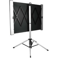Проекционный экран CACTUS TriAlExpert 102x180 CS-PSTALE-180X102 - Изображение №2 — Chaika Market
