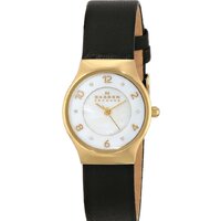 Наручные часы Skagen SKW2209 — Chaika Market