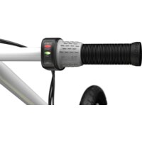 Электросамокат Razor EcoSmart SUP (черный) - Изображение №2 — Chaika Market