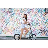 Электросамокат Razor EcoSmart SUP (черный) - Изображение №8 — Chaika Market