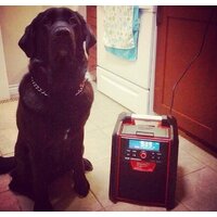 Зарядное устройство Milwaukee M18 RC-0 4933446639 (18В) - Изображение №10 — Chaika Market