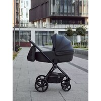 Универсальная коляска Rant Teo 2в1 RA120 (черный) - Изображение №29 — Chaika Market