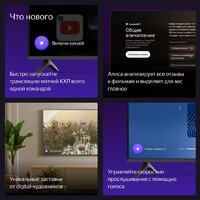 Телевизор Яндекс ТВ Станция Бейсик с Алисой 65 YNDX-00077 - Изображение №10 — Chaika Market