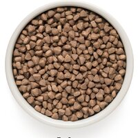 Сухой корм для кошек Grandorf Lamb&Turkey Adult Indoor (ягненок и индейка) 8 кг - Изображение №2 — Chaika Market