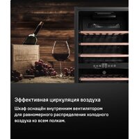 Винный шкаф MAUNFELD MFWC-124D49 - Изображение №11 — Chaika Market