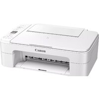 Принтер Canon PIXMA TS3351 3771C026 — Chaika Market