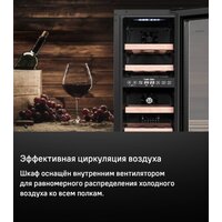 Винный шкаф MAUNFELD MBWC-56D17 - Изображение №9 — Chaika Market