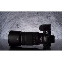 Объектив Nikon NIKKOR Z MC 105mm f/2.8 VR S - Изображение №7 — Chaika Market