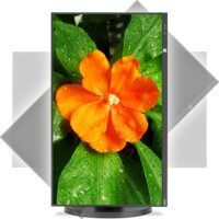 Монитор NEC MultiSync E271N-BK - Изображение №4 — Chaika Market